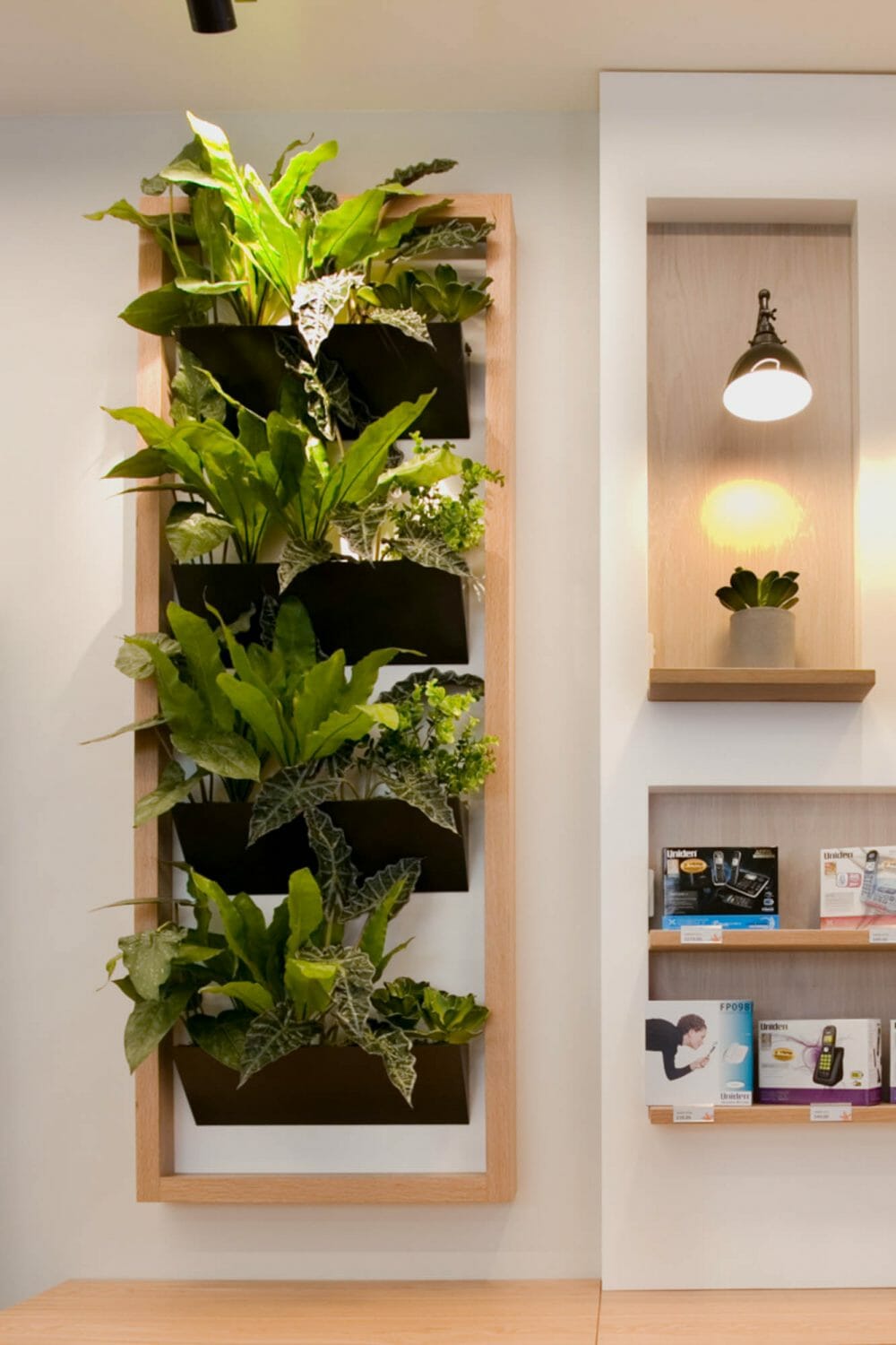 Plants Wall Design for Spark