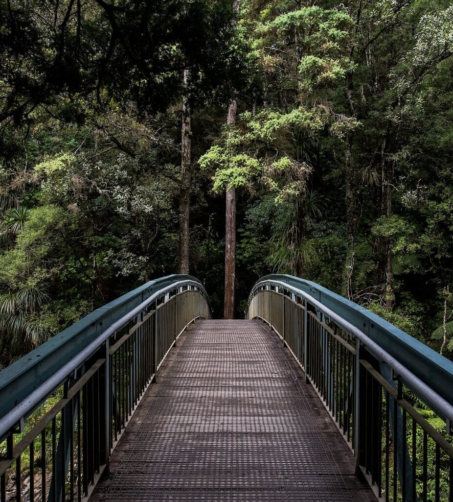 Bridge Design with Nature