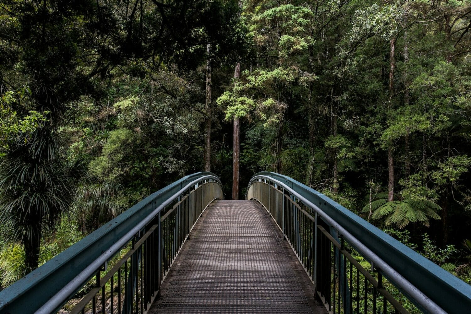 Bridge Design with Nature