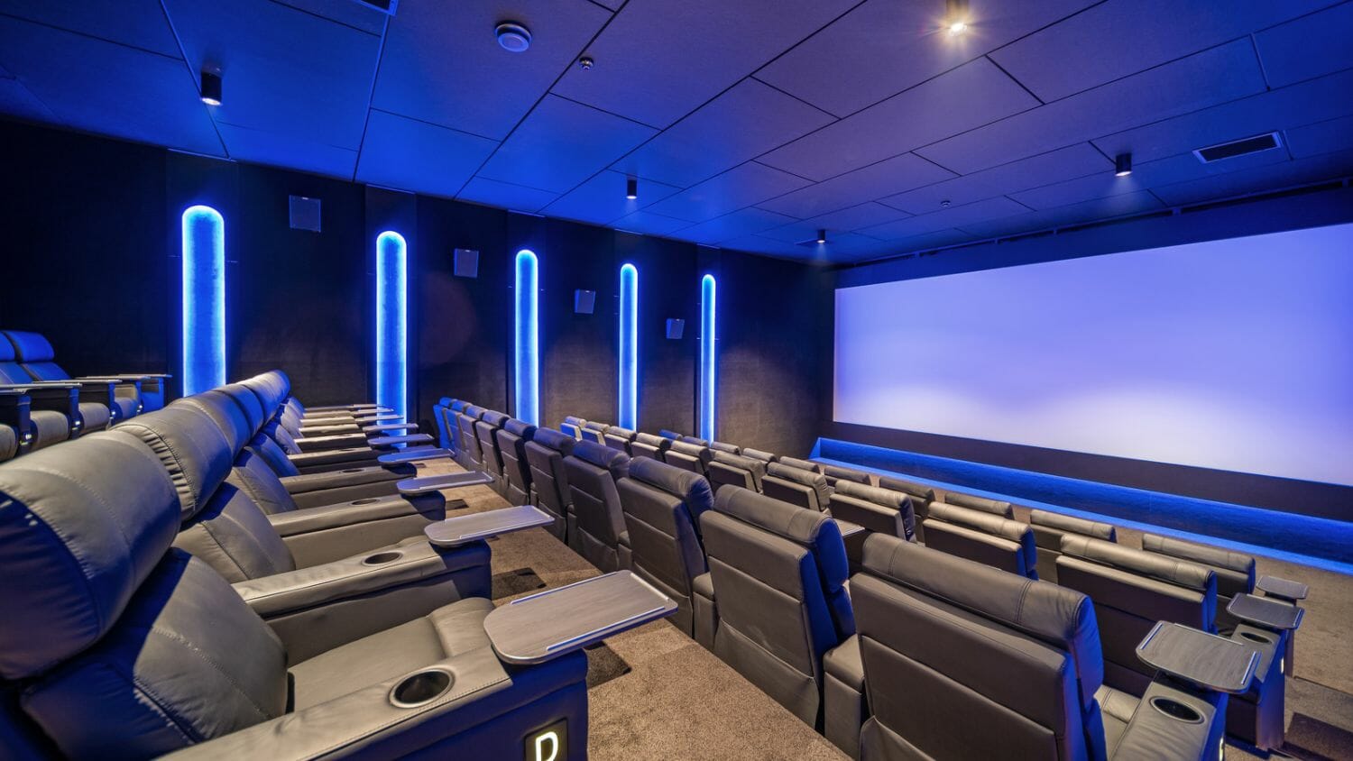 Cinema Design for Silky Otter Wigram