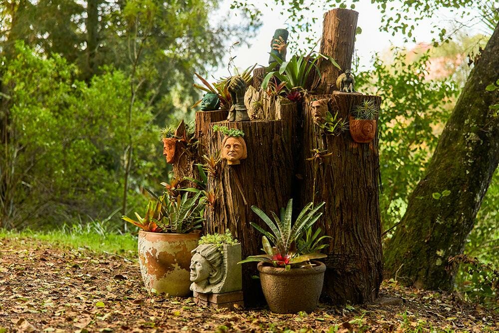 Tree stump decorated with plants and pots