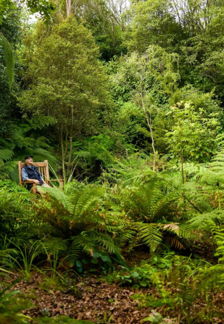 Glimpse of nature with mature trees, native plants and expansive bird life