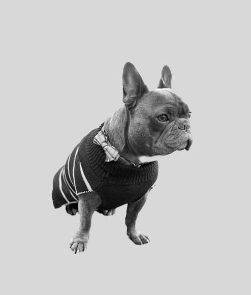 Harvey Spector